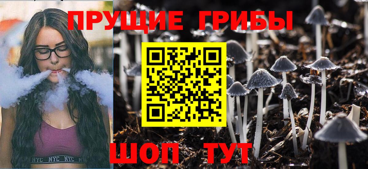 Галлюциногенные грибы мицелий  Вход с VPN  Псилоцибиновые грибы MAGIC MUSHROOMS  Брянск 