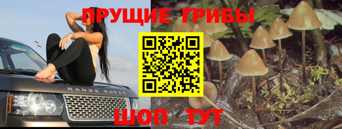 Галлюциногенные грибы мухоморы Брянск